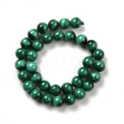 Natural Malachite Beads Strands G-A271-A01-6mm-1