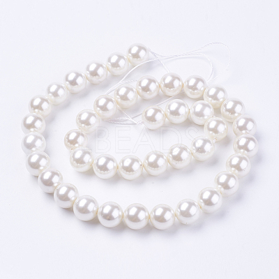 Shell Pearl Beads Strands BSHE-L035-6mm-I13-1