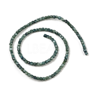 Natural Freshwater Shell Dyed Beads Strands SHEL-R100-11A-05-1