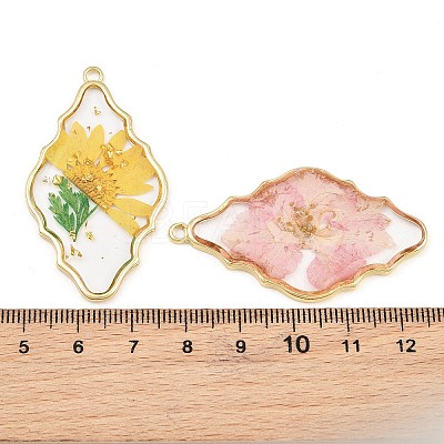 Alloy Resin Pendants RE-CBA591C-02G-1