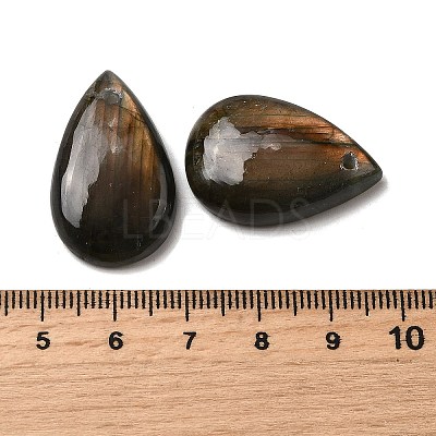 Natural Labradorite Pendants G-F760-01B-06-01A-1