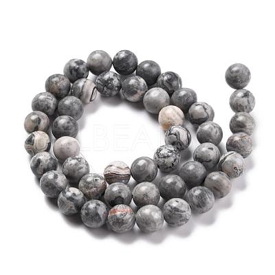 Natural Map Stone/Picasso Stone/Picasso Jasper Beads Strands G-G047-8mm-1