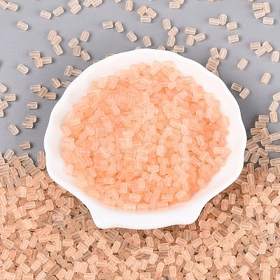 FGB Frosted Transparent Glass Seed Beads SEED-N013-05A-03-1