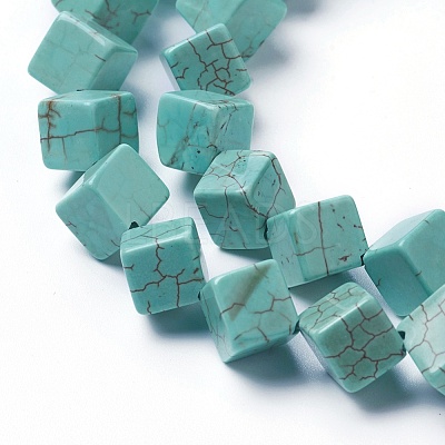 Dyed & Heated Natural Howlite Beads Strands G-F592-06-C-1