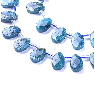 Natural Apatite Beads Strands G-G805-B02-1