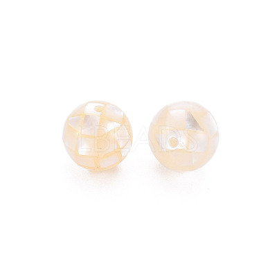 Resin Beads SSHEL-T014-38-8mm-05-1