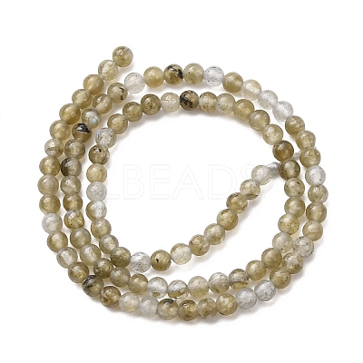 Natural Labradorite Beads Strands G-Z116-A04-2mm-1