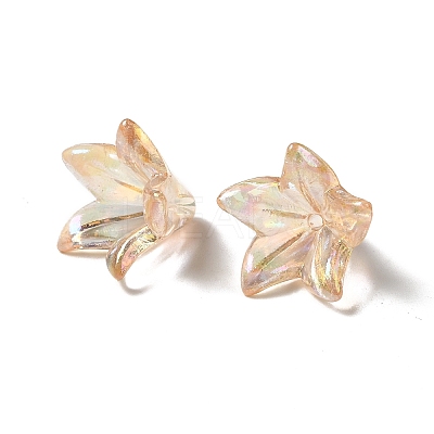 Transparent Acrylic Bead Caps OACR-H016-05D-1