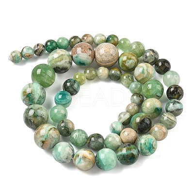 Natural Green Line Jasper Graduated Beads Strands G-F830-A01-01-1