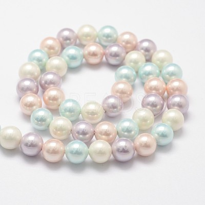 Shell Pearl Bead Strands X-BSHE-L017-10-1