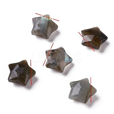 Natural Labradorite Charms G-H241-04C-1