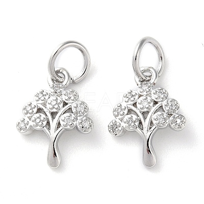 Rack Plating Brass Micro Pave Clear Cubic Zirconia Charms KK-D097-05P-1