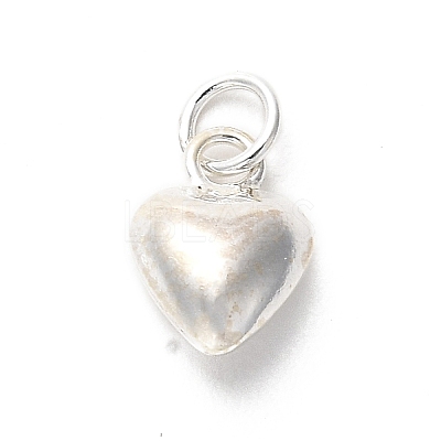 925 Sterling Silver Pendants STER-P057-07B-S-1