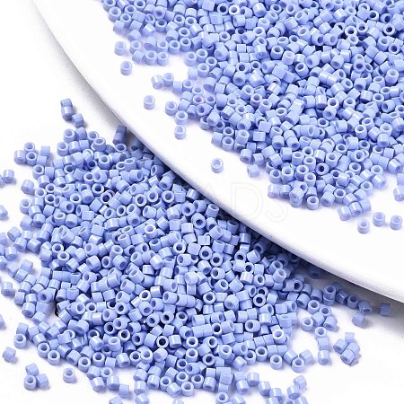 FGB 11/0 Grade A Glass Seed Beads SEED-S030-1023-1