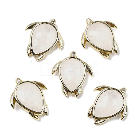 Natural Quartz Crystal Pendants G-U019-02G-01-1