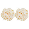 Cloth Sewing Ornaments AJEW-WH0270-697A-1
