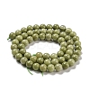 Natural Alashan Agate Beads Strands G-E598-03A-3