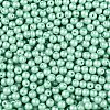 Glass Seed Beads SEED-T007-01M-2