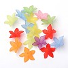 Mixed Color Dyed Transparent Frosted Acrylic Flower Beads X-PL594-2