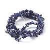 Natural Sodalite Beads Strands G-G782-31-2