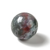 Natural Indian Agate Beads G-A206-02-18-2