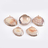 Electroplate Sea Shell Pendants SSHEL-T006-04-1