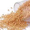 TOHO 11/0 Round Beads X-SEED-TR11-0984-1
