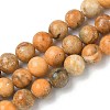 Dyed Natural Dolomite Beads Strands G-D337-8mm-D05-2