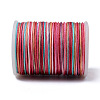 Segment Dyed Polyester Thread NWIR-I013-A-02-3
