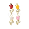 Brass Micro Pave Clear Cubic Zirconia and Enamel Charms KK-A300-22G-1