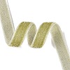 Glitter Sparkle Single Face Velvet Ribbon SRIB-Q023-01B-06-1
