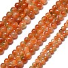 Natural Malaysia Jade Beads Strands G-L645-C01-12mm-29-2