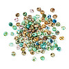 Picasso Glass Seed Beads SEED-TADJ0001-05A-2