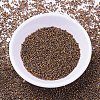 MIYUKI Delica Beads X-SEED-J020-DB0506-2