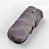 Electroplated Natural Dragon Bone Stone Big Pendants G-I177-17-3