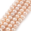 Natural Cultured Freshwater Pearl Beads Strands PEAR-C003-13A-X-2