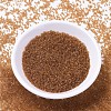 MIYUKI Delica Beads X-SEED-J020-DB1101-2