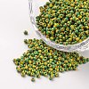 12/0 Opaque Colours Seep Glass Beads SEED-M008-C27-1