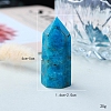 Point Tower Natural Apatite Home Display Decoration PW-WG91959-04-4