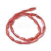 Natural Freshwater Shell Beads Strands SHEL-A004-03F-2