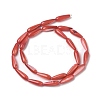 Natural Freshwater Shell Beads Strands SHEL-A004-03F-2