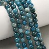 Natural Apatite Beads Strands G-F816-A01-01A-1