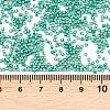 MIYUKI Delica Beads X-SEED-J020-DB2505-3
