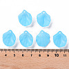 Transparent Frosted Acrylic Pendants MACR-S371-01A-755-4