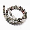Natural African Bloodstone Beads Strands G-G735-32-6mm-2