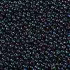 TOHO 11/0 Round Beads X-SEED-TR11-0505-2