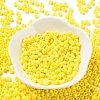 Baking Paint Glass Seed Beads SEED-H002-I-A502-2