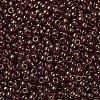 MIYUKI Round Rocailles Beads X-SEED-G007-RR0309-3