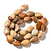 Natural Picture Jasper Beads Strands G-I377-A17-3