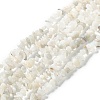 Natural Rainbow Moonstone Beads Strands G-A200-02-1